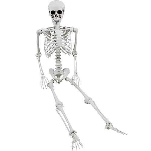 XONOR 5.4ft/165cm Halloween Posable Skeleton - Realistic Human Skeletons Full Body Bones with Movable Joints for Halloween Props Spooky Party Decoration - 165cm