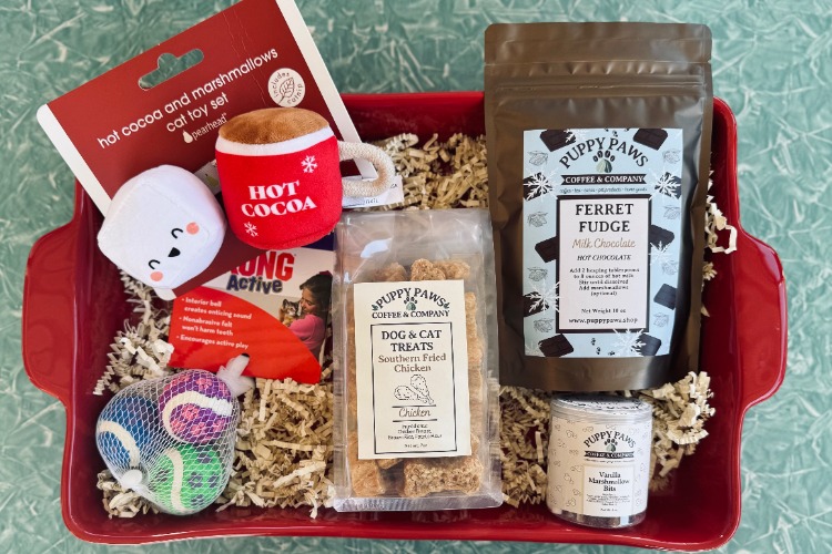 CAT - Paws for a Cause Box | Default Title