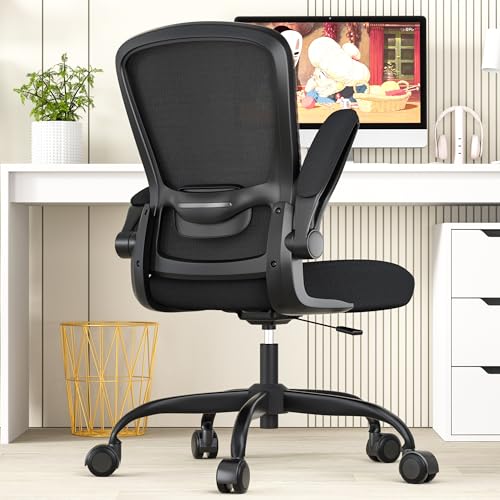 Office Chair, Ergonomic Desk Chair with Adjustable Lumbar Support, High Back Mesh Computer Chair with Flip-up Armrests-BIFMA Passed Task Chairs, Executive Chair for Home Office - All Black - Modern