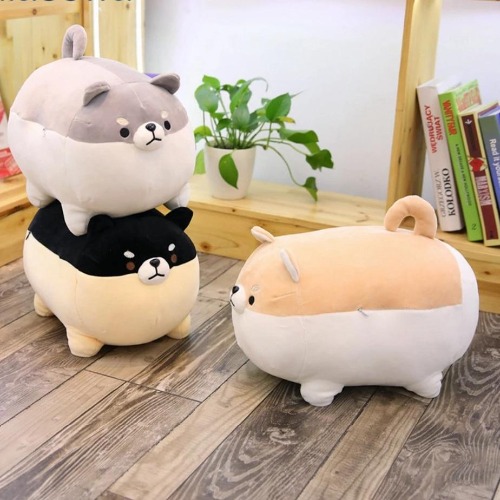 Angry Shiba Plushie (3 COLORS, 2 SIZES) - 16" / 40 cm / Triple Pack (Save More!)