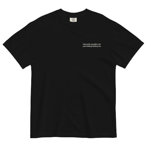 Hey quick question are you fucking kidding me Embroidered T-Shirt - Black / 4XL