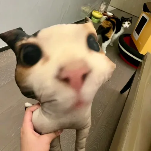 BEEP BOOP CUSTOM PILLOW