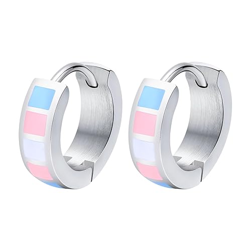 Nanafast Stainless Steel Rainbow Small Huggie Hoop Earrings LGBT Pride Earrings for Women Men Lesbian Bisexual Transgender Nonbinary Asexual Flag Earrings LGBTQ Pride Jewelry - Transgender
