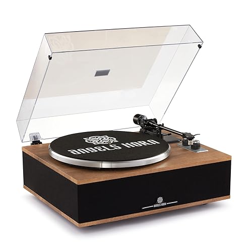Vinyl Record Player