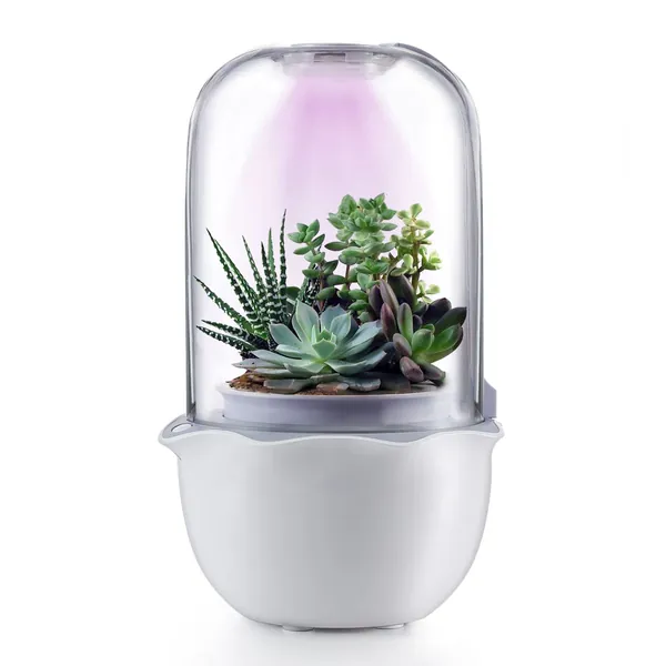 Succulent Pot with Grow Light,Smart Succulent Planters with Timer and Fan,Small Indoor Plant Pots with Drainage Hole for Tabletop Plant,Ideal Gift for Valentine's Day,Wife,Mom,Birthday(No Plant) - 