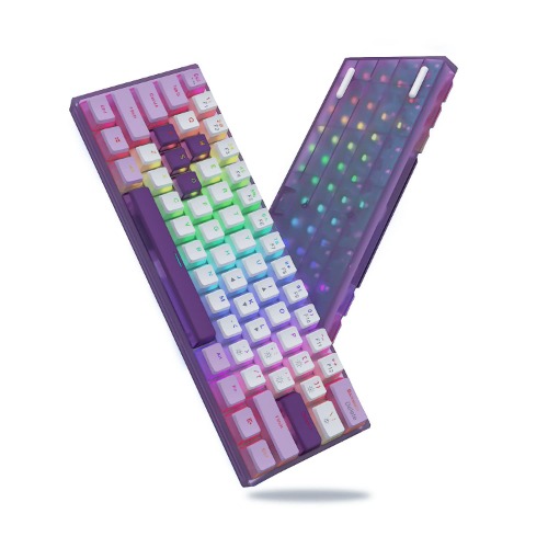 Womier WK61 Purple Keyboard - 60% Mechanical Keyboard, Hot-Swappable Ultra-Compact RGB Gaming Keyboard w/Pudding Keycaps, Pro Driver/Software Supported - Red Switch(with Silicone Pad) - Purple Keyboard