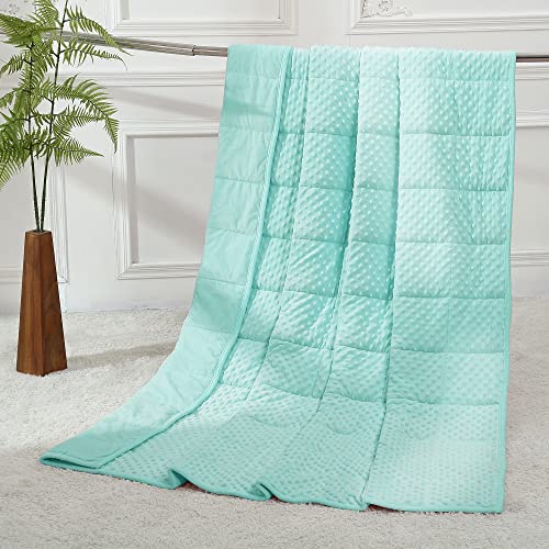 Alomidds Weighted Blanket, Luxury Velvet Weighted Blankets for Adults and Kids,Warm and Breathable Soft and Comfort Minky, Heavy Blanket with Premium Glass Beads (48"x72",12lbs Twin Size - Teal) - A(teal) - 48"x72" 12LBS