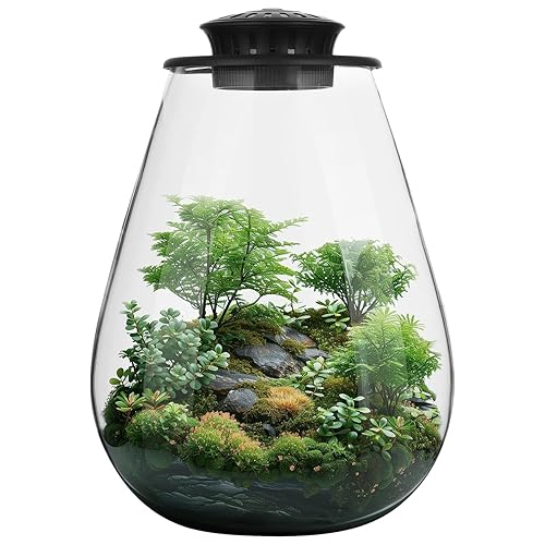 Mini Desktop Glass Plant Terrarium with Grow Light - Planter for Succulent Moss Miniature Gardening Landscape, Betta Fish Tank, Indoor Plant Growth, Office Home Decoration, Plant Lovers Gifts