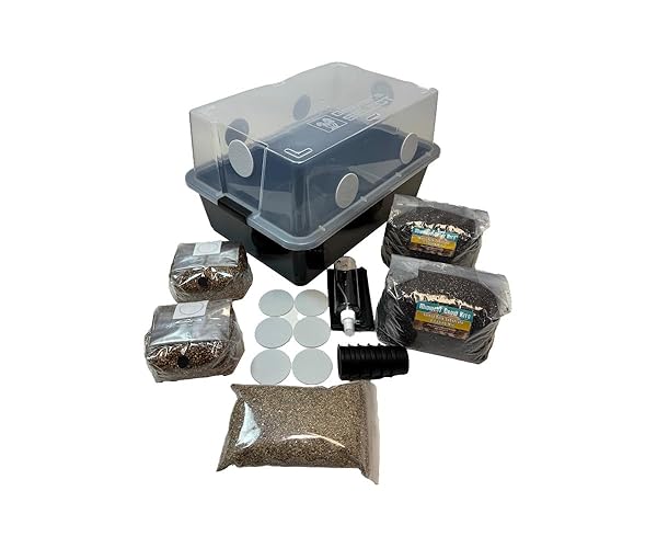 Mushroom Monotub LARGE 66Q Grow Kit | Complete Mushroom Grow Kit | For Dung-Loving Mushrooms | Includes 2 sterilized Grain Spawn Bags, Bulk Substrate, Vermiculite, Filters & More! Just add Spores