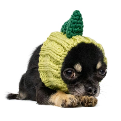 Zoo Snoods Dinosaur Costume for Dogs