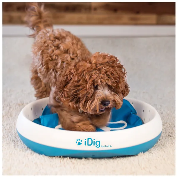 iFetch Digging Toy for Dogs, Blue/White