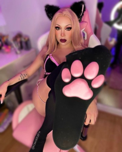 3D Paw Print Pad Stockings - All 3 Pairs