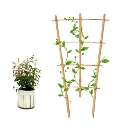 COLOtime 3Pack Bamboo Trellis 16 Inch Fan Shaped Small Plant Trellis for Indoor Potted Plants Climbing Monstera Orchid Vine Hoya Houseplant - Fan shaped, 3 Pack