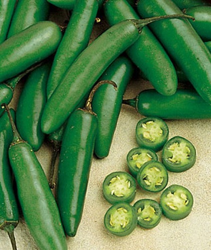 Serrano Pepper Seeds