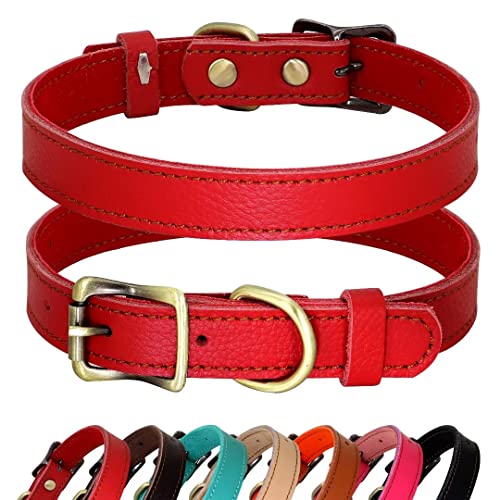 PET ARTIST Genuine Leather Dog Collar, Lightweight & Soft Padded Leather Collar, 7 Beautiful Color for Choices,Dog Collar for Puppy&Small Dog,Red,S - S:Neck fit 8-12''(20-30cm) - (Fulfilled by Amazon)Red