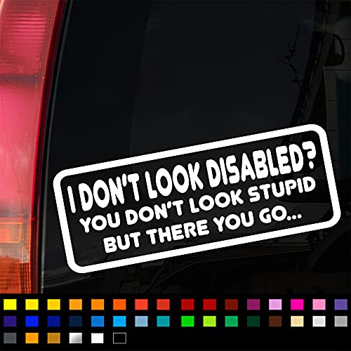 Not All Disabilities are Visible Funny Car Sticker, Disabled Funny Sticker Decal, Car Window Bumper Sticker, Caravan Sticker, 200mm