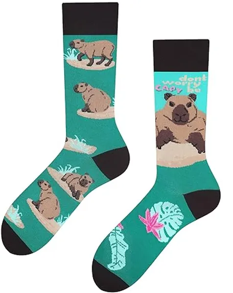 TODO Colours Lustige Socken mit Motiv - Mehrfarbige, Bunte, Verrückte für die Lebensfreude - 35-38 - Socken Capybara Turkis