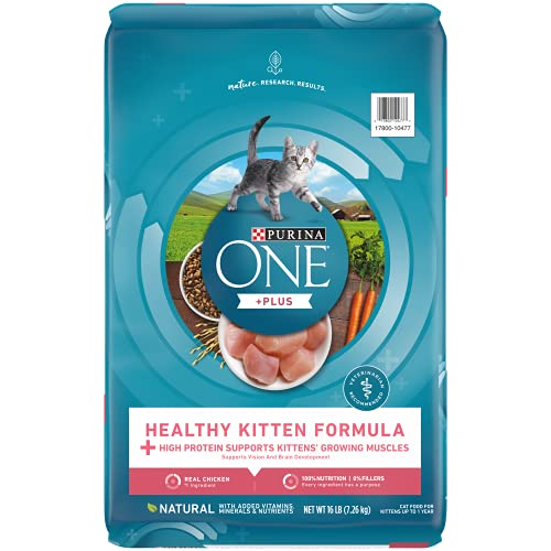 Purina ONE High Protein, Natural Dry Kitten Food, +Plus Healthy Kitten Formula - 16 lb. Bag - Dry Food - Chicken - 16.00 Pound (Pack of 1)