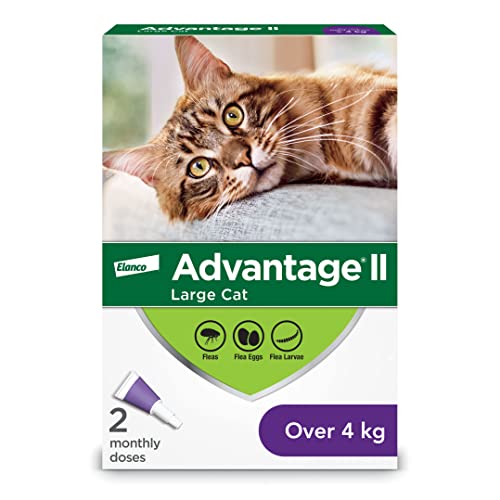Advantage II Flea Protection for Large Cats weighing over 4 kg (over 9 lbs.) - 2 doses