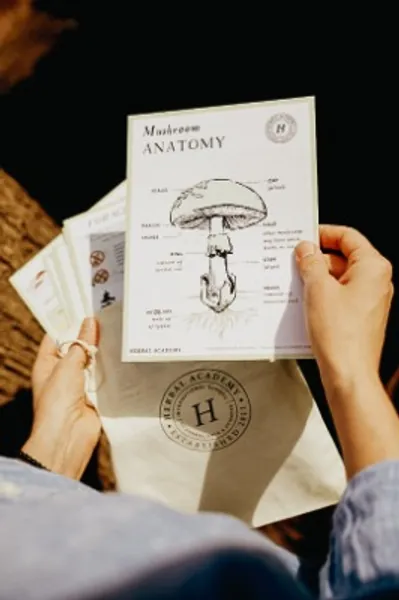 Mushroom Foraging Kit