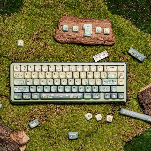 Rainy Froggy Day Keycap