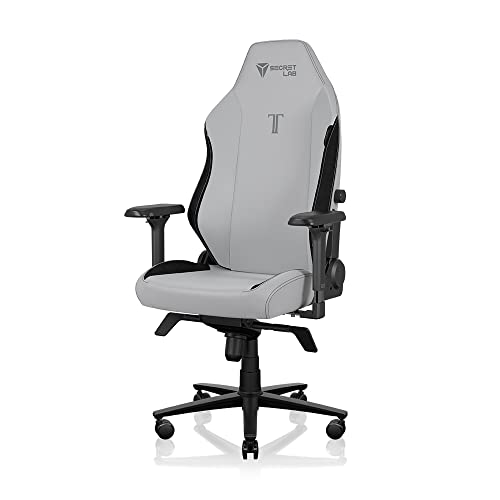 Secretlab Titan Evo Ash Gaming Chair - Reclining, Ergonomic & Comfortable Computer Chair with 4D Armrests, Magnetic Head Pillow & 4-Way Lumbar Support - Gray - Leatherette - Ash - Regular