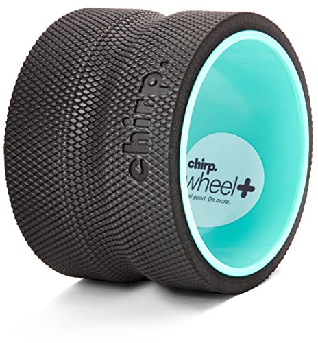 Chirp Wheel Foam Roller - Targeted Muscle Roller for Deep Tissue Massage, Back Stretcher with Foam Padding, Supports Back Pain Relief - Blue - 6" - Deep Tissue