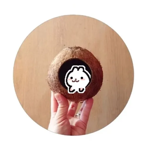 Little coconut hideout