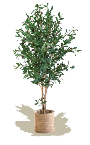 Maia Shop Olivträd med naturliga stammar, tillverkat av de bästa materialen, perfekt för heminredning, konstgjord växt (150 cm) - 150 cm - Oliv