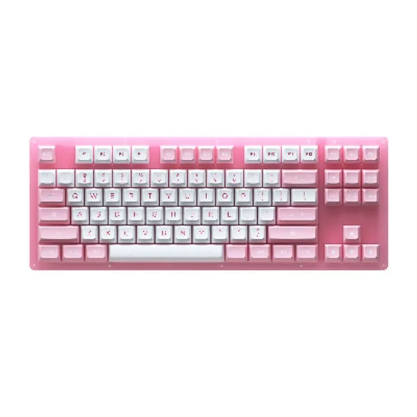 EPOMAKER AKKO ACR87 Prunus Lannesiana 87 Keys Hot Swappable RGB Wired 75% Mechanical Gaming Keyboard with Acrylic Translucent Case, Extra ASA PBT Keys Set for Mac/Win (AKKO CS Jelly Pink Switch)