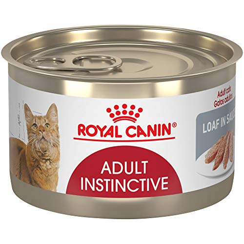Royal Canin Feline Health Nutrition Adult Instinctive Loaf In Sauce Canned Cat Food, 3 oz Can (Case of 24) - 3 Ounce (Pack of 24) - Loaf in Sauce