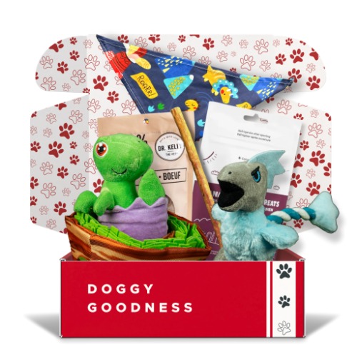 Jurassic Bark Themed Dog Box - Large