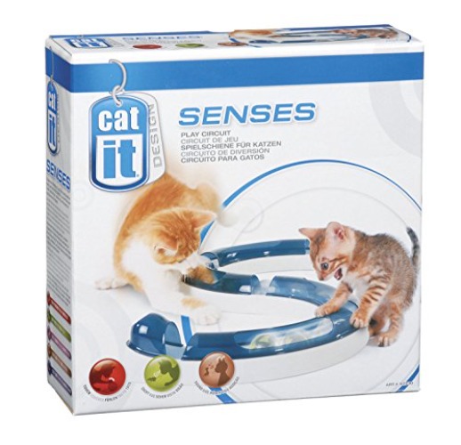 CatIt Senses Play Circuit - 1 Item - Single