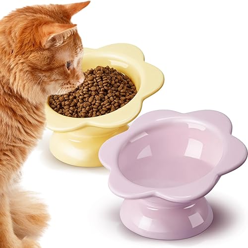 cat bowls ♡ 