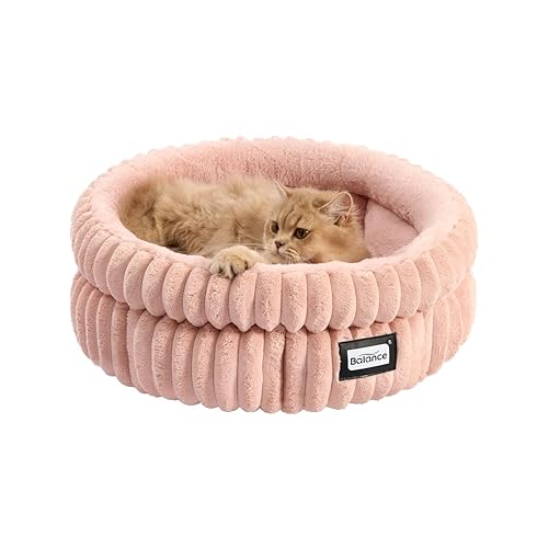 cat bed ♡ 