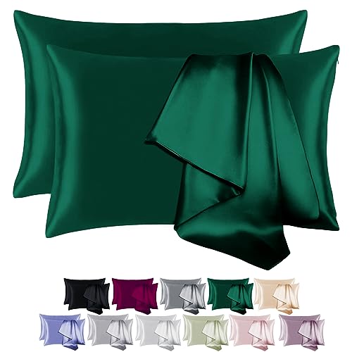 BEIJOEY 100% Mulberry Silk Pillowcase 2 Pack for Hair and Skin,with Hidden Zipper,Both Sides 19 Momme 600 Thread Count Natural Silk Pillow Cover,Soft Breathable Smooth (Dark Green, Standard 20''x26'') - Dark Green - Standard
