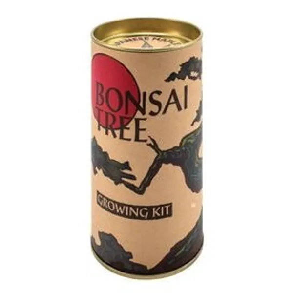 Bonsai Grow-A-Tree Kit (Japanese Maple) | FYE