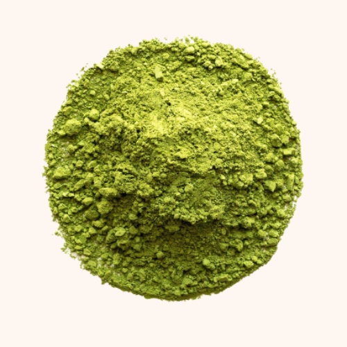 Maple Matcha