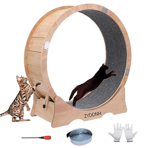 ZYDDNH Cat Wheel, Cat Treadmill,Cat Exercise Wheel, Cat Wheels for Indoor Cats Large，Cat Running Wheel ，Cat Wheel Eexerciser (Large) - Large