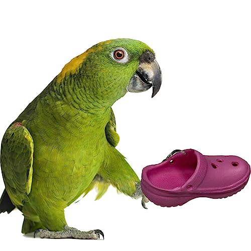 Crocs Bird Toy