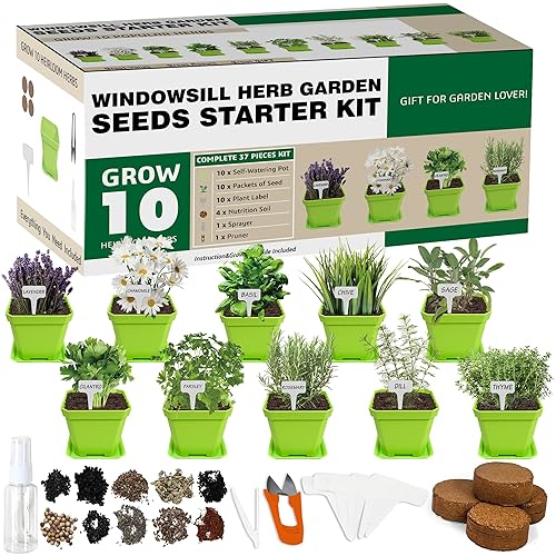 10 Herb Seeds Garden Starter Grow Kit with Green Pots, Markers, Nutritional Soil, Watering, Herb Clipper, Complete Indoor Potted Plant Growing Set for Kitchen DIY - green