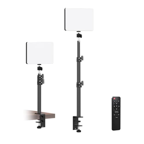 【20W 2-Pack】 RAUBAY LED Video Panel Light with Desk Mount Stand Kit, 3200K-5500K Bi-Colors Key Light with Stand C-Clamp for Live Stream, Video Conferencing, YouTube, TikTok, Make up