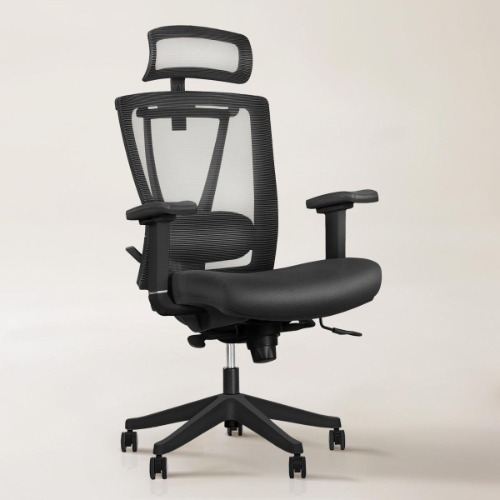 Aery Ergonomic Chair - Black