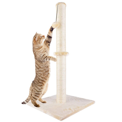 Cat Scratching Post