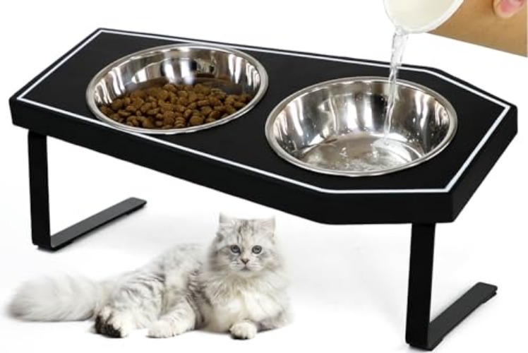 Cat Food Bowls Elevated