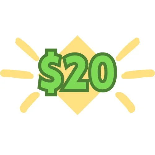 $20 Dono (no reward)