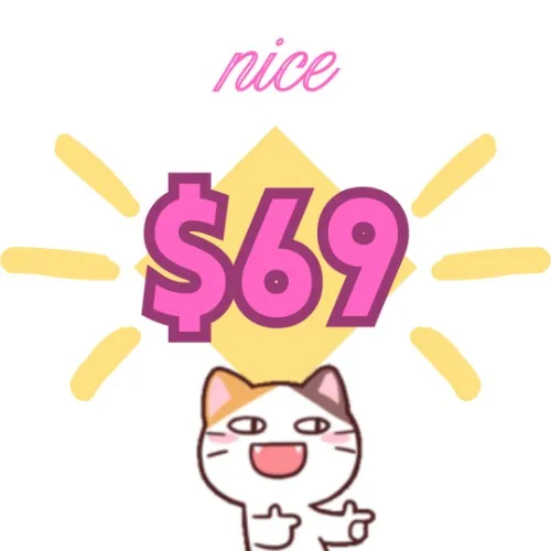 nice (this is the reward)