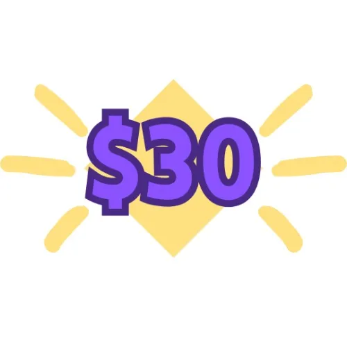 $30 Dono (no reward)
