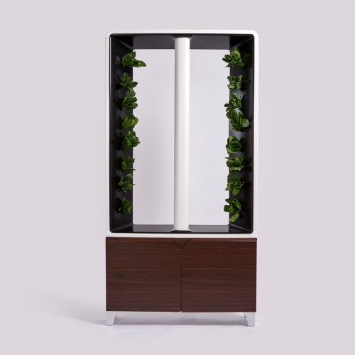 The AEVA Indoor Farm - Walnut