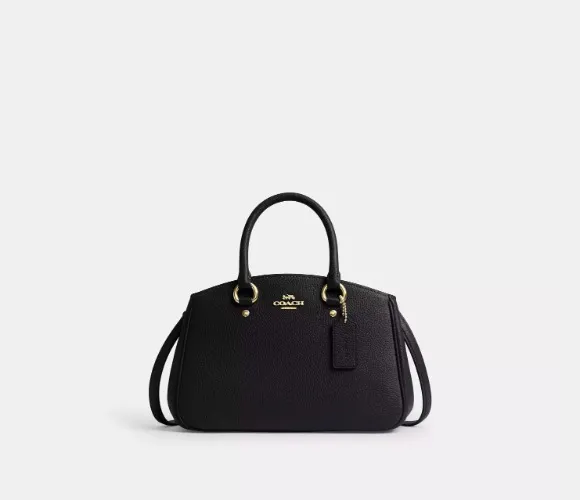 Savannah Small Carryall Bag (Coach)